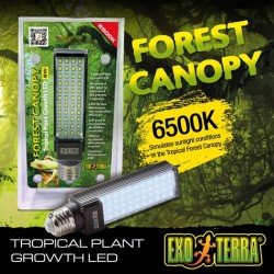 Exo Terra Forest Canopy Led 8W / 6500K / 220-240V