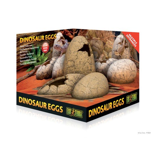 PT2841, Exo Terra Dinosaur Eggs Fossil Hide-Out