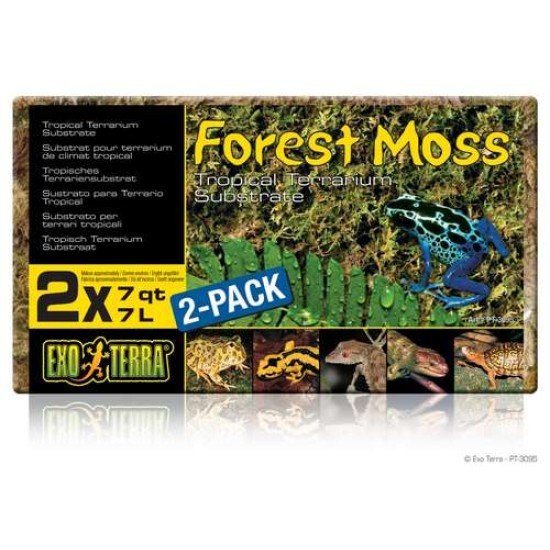 PT3095, Exo Terra Forest moss 2 pack