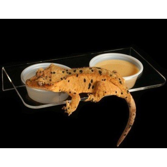 Pangea Magnetische Acryl-Leder