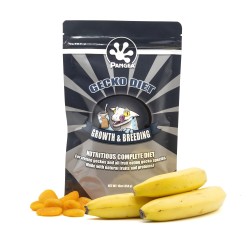 Pangea Gecko Diet Breeding Formula 454gr